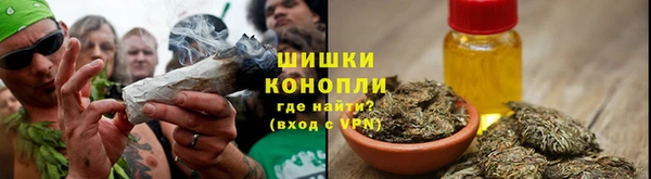 амф Белокуриха