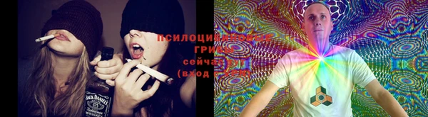СК Строитель