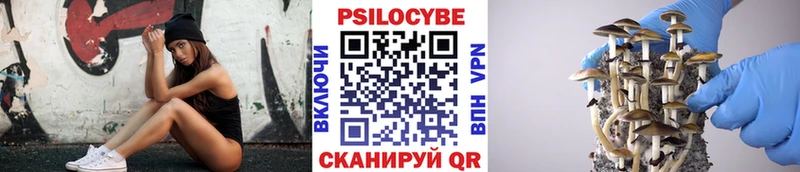 наркотики  Жигулёвск  Псилоцибиновые грибы Psilocybe 